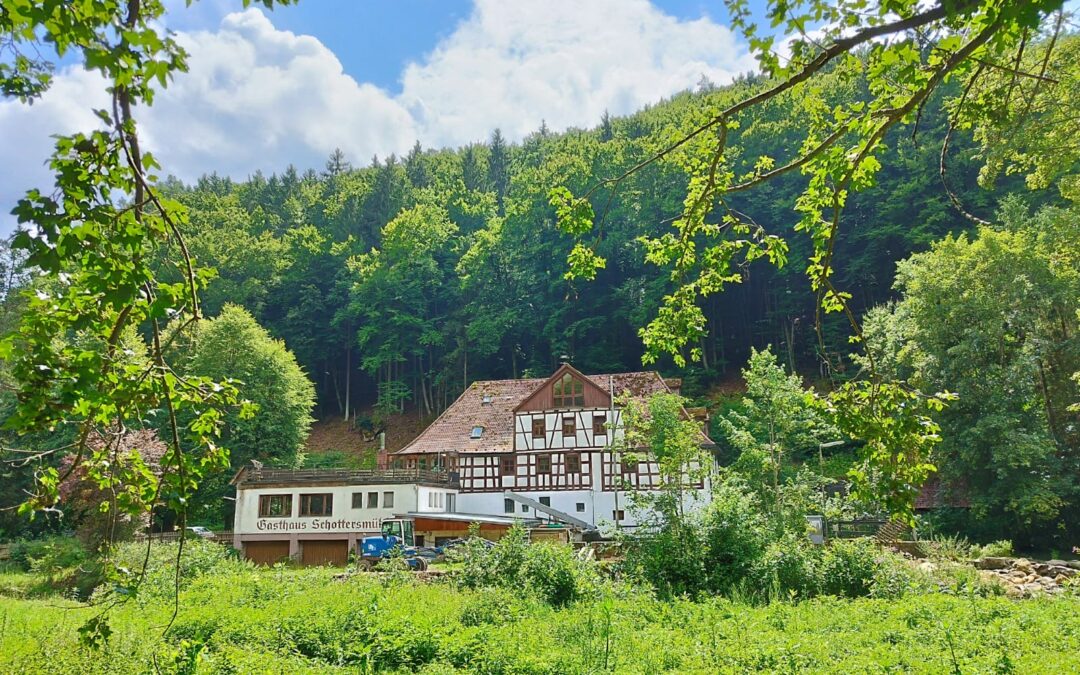 Margas Holunderblütenmousse und Yoga-Sommertage 2025 